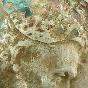 1952?-Possible-D-On-Lincoln-Coat