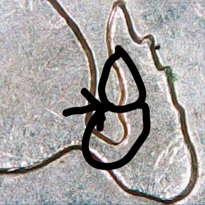 2007.-Wyoming-Quarter