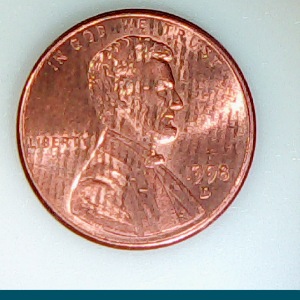 Tiger-Looking-Penny,-Crazy