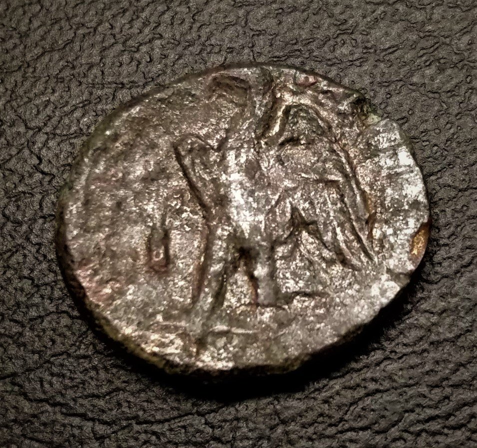 Ptolemy-II-Philadelphos?