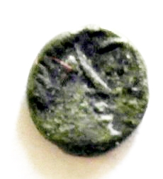 Post-Your-Tiny-Coins!