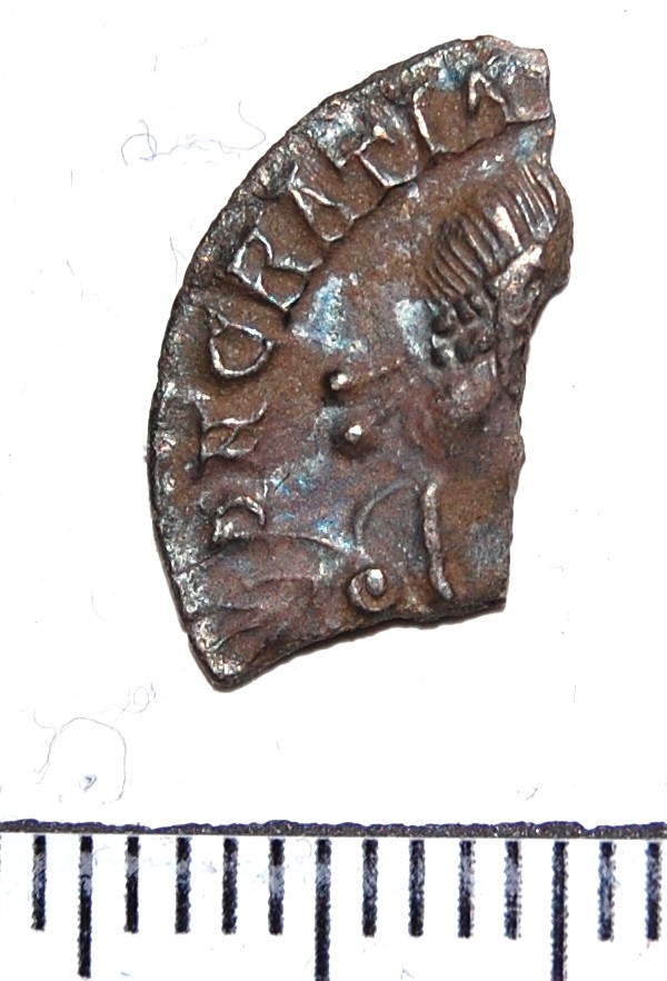 A-Very-Unfortunate-Siliqua