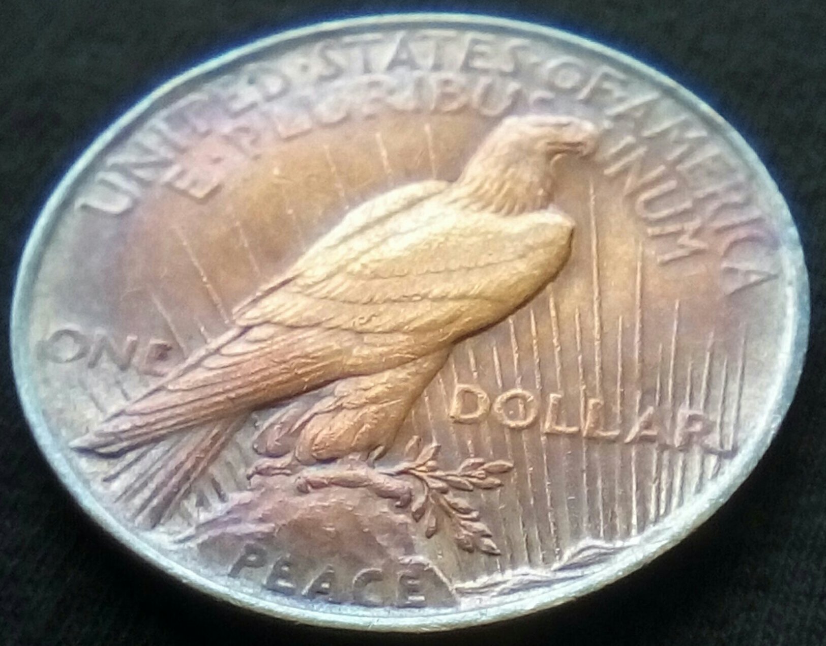1922-Peace-Dollar,-Won-On-Ebay-Auction.