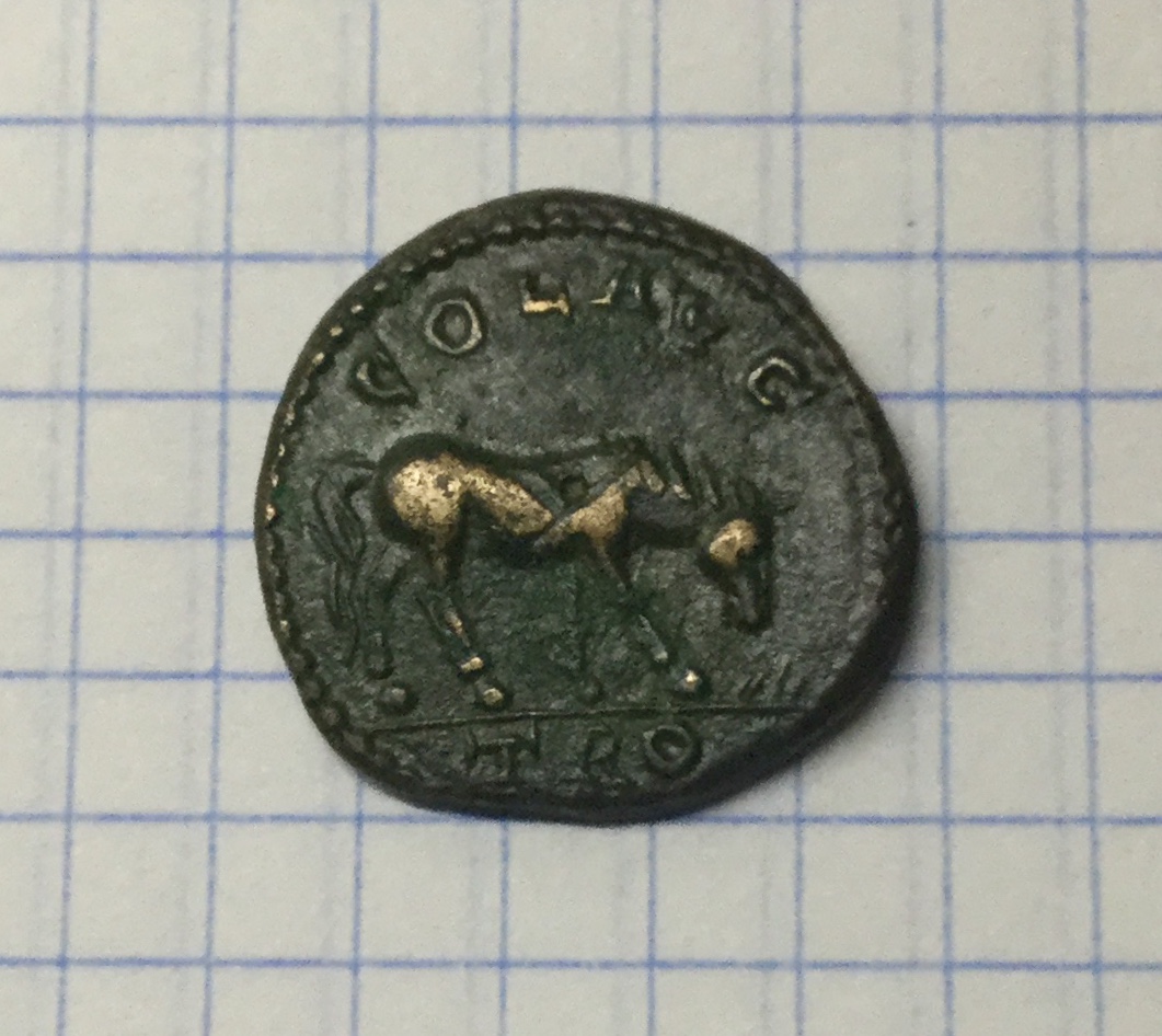 Please-Help-With-Coin!