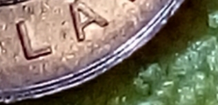 1996-Canadian-$2-Dollar-Coin-Error?
