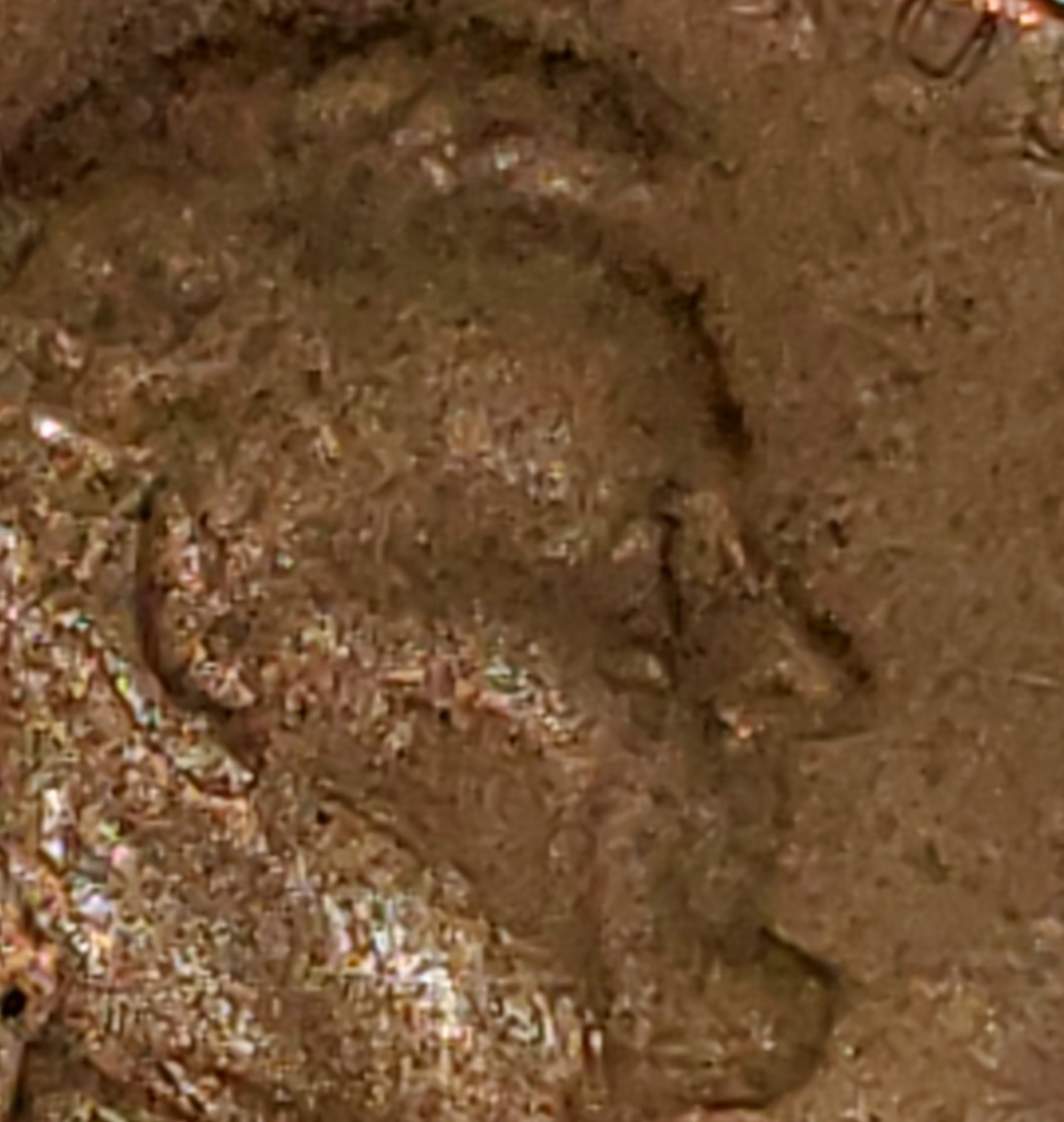 1972-D-Penny-With-Double-Die?