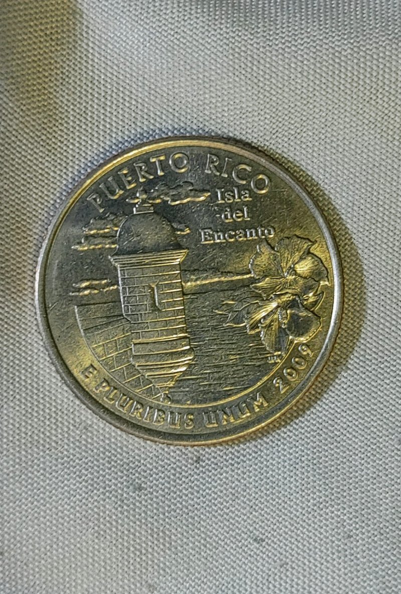 Possible-2009-Quarter-Error?