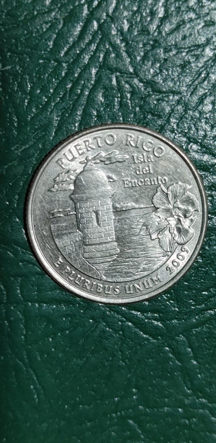 Possible-2009-Quarter-Error?