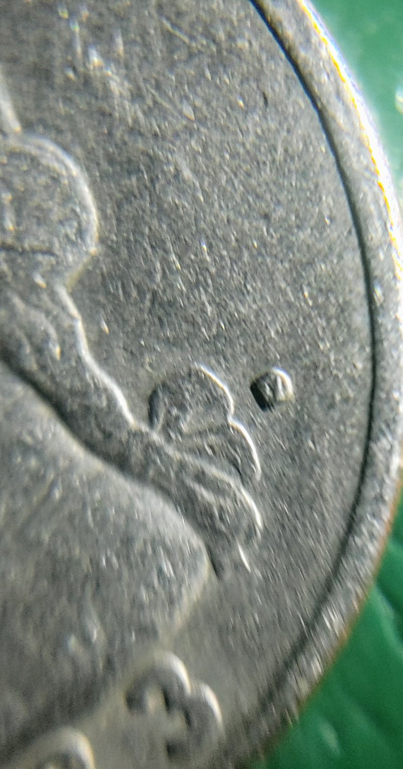 1983-Quarter-W-P-Or-D-Mint.or-Both?
