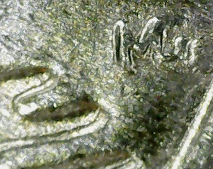 Interesting-Specimen,-Quarter,-Tripling?