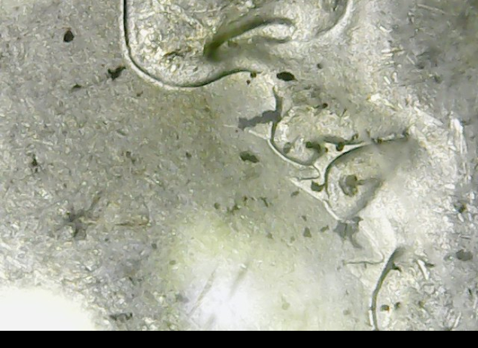 1883-O-Morgan-Dollar-Die-Clash?