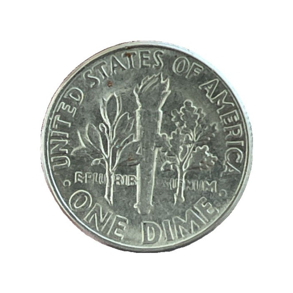 1977-D-Roosevelt-Dime---Did-I-Find-My-First-Errors?-Touching-Rim-And-Letters?