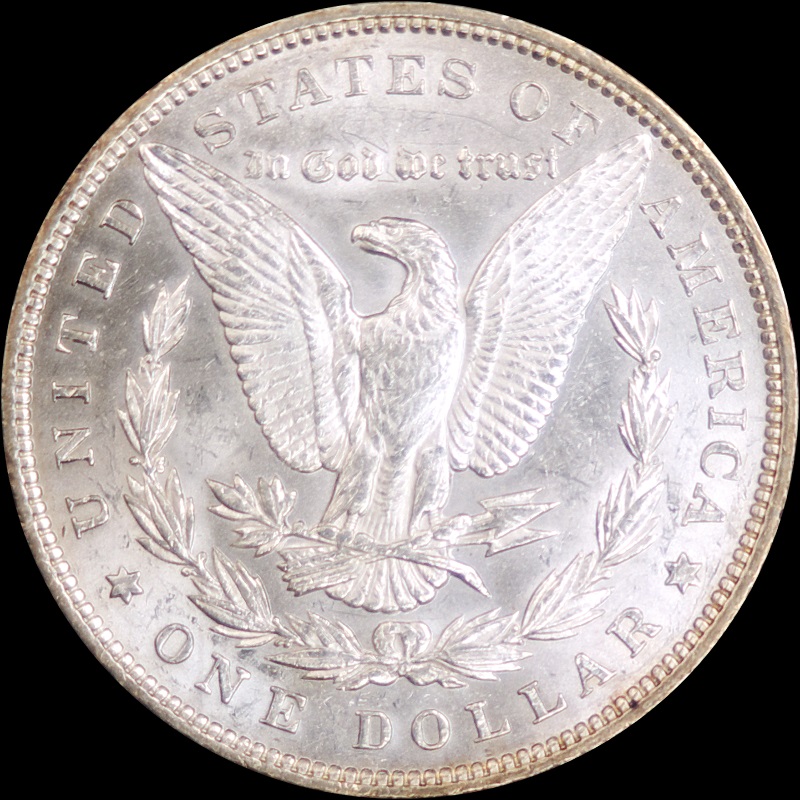 1892-Morgan---Send-In-For-TPG?