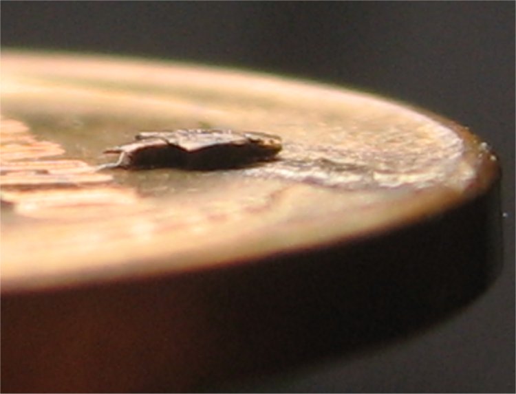 1990-Lincoln-Cent--What-Is-Going-On-With-Rim-To-The-Left?