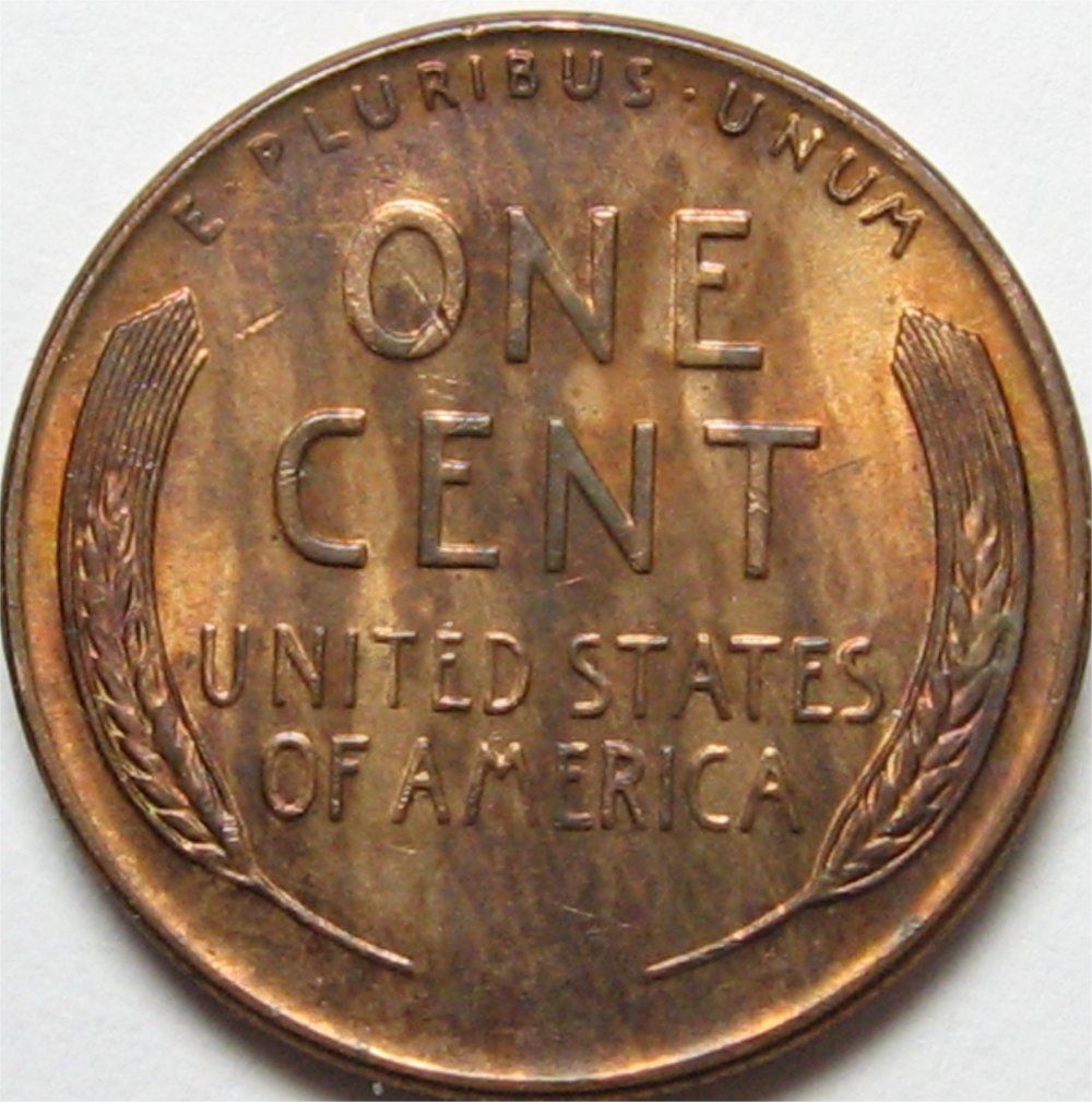 1956-D-Ugly-Toner-2---Grade-It!