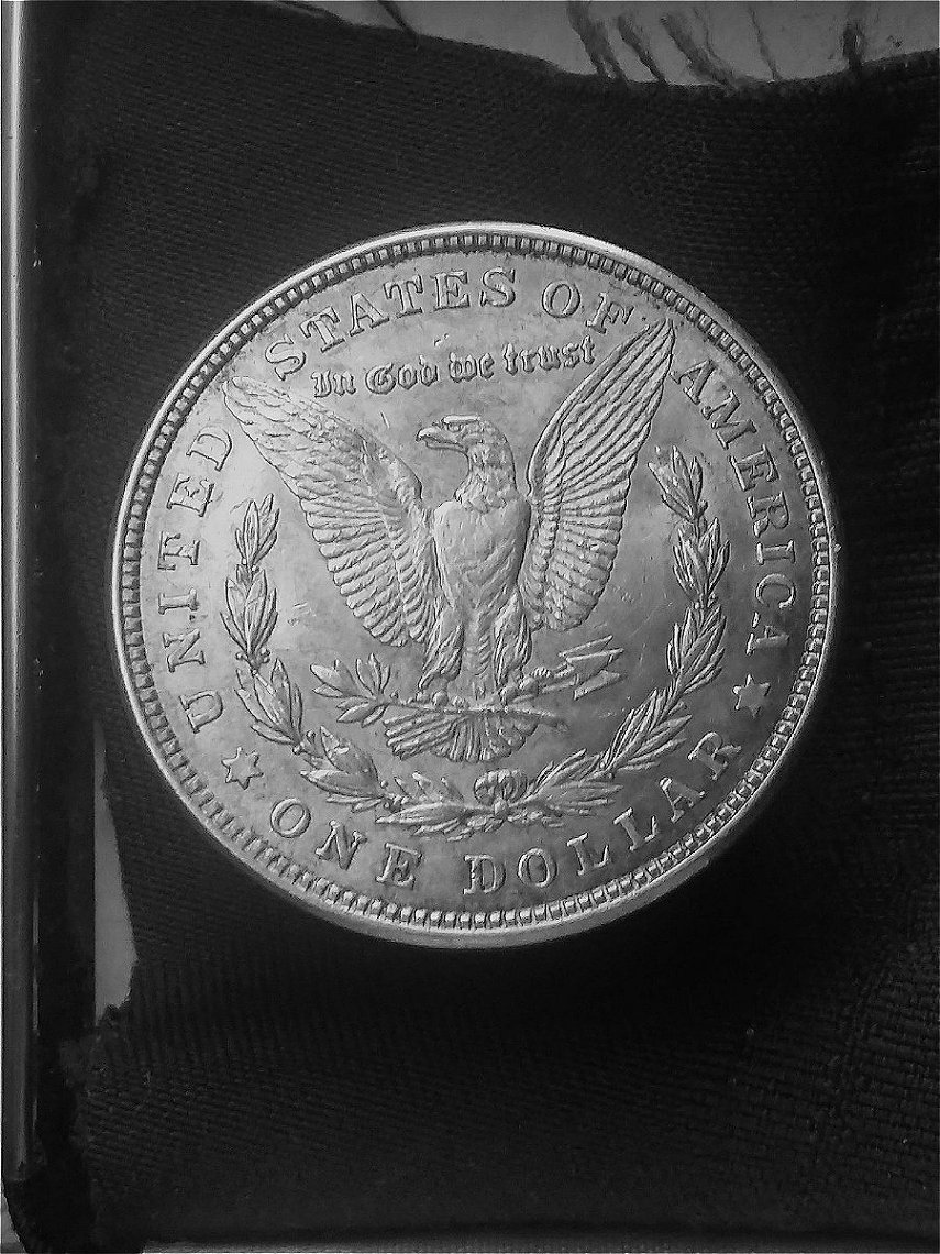 1921-Morgan-Dollar-That-I-Believe-It-Is-A-Chapman.t-Thoughts?