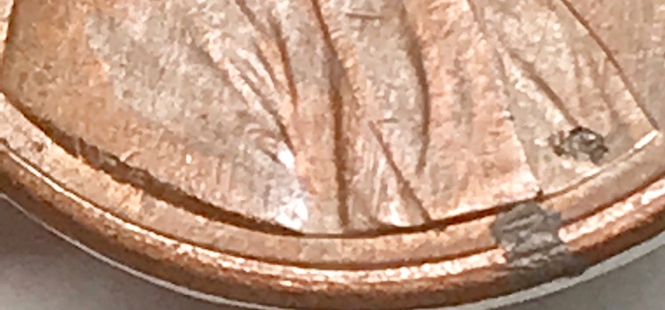 1989-D-LMC-Questions-DDO?