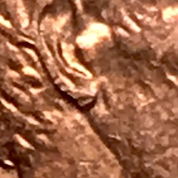 1989-LMC-Question-Below-Earlobe