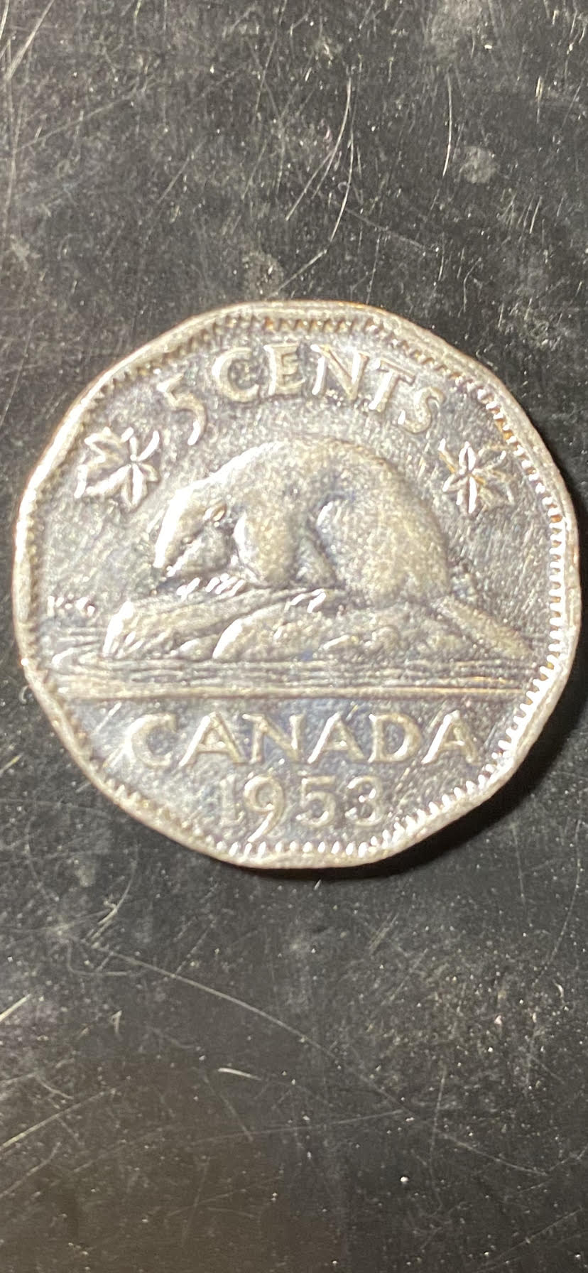1953-NSF-Far-Leaves-Nickel?