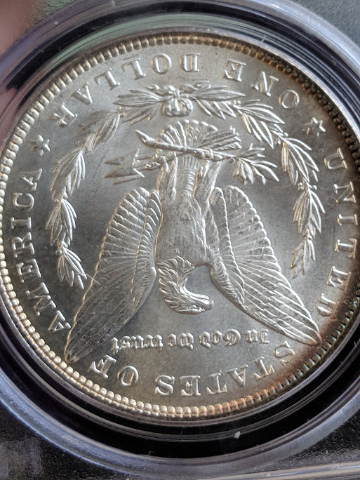 You-Vs-PCGS,-Actually-Bought-From-Expensive-Website--2-Morgans