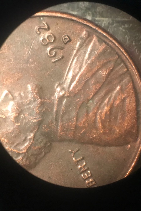 1982-D-Small-Or-Large-Date?