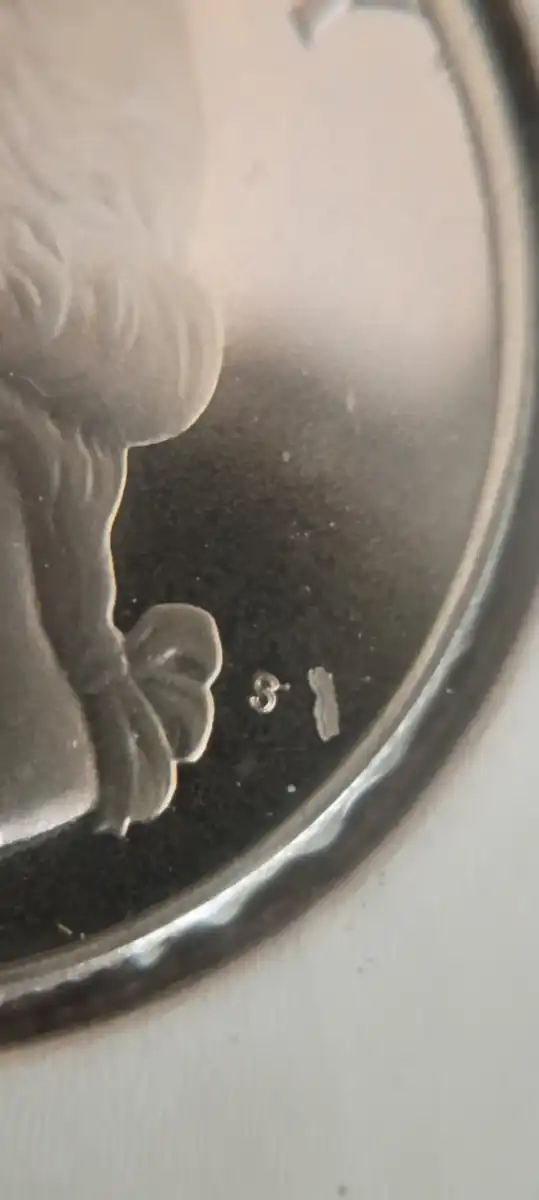 1981-Proof-Quarter-Error-Or-Not