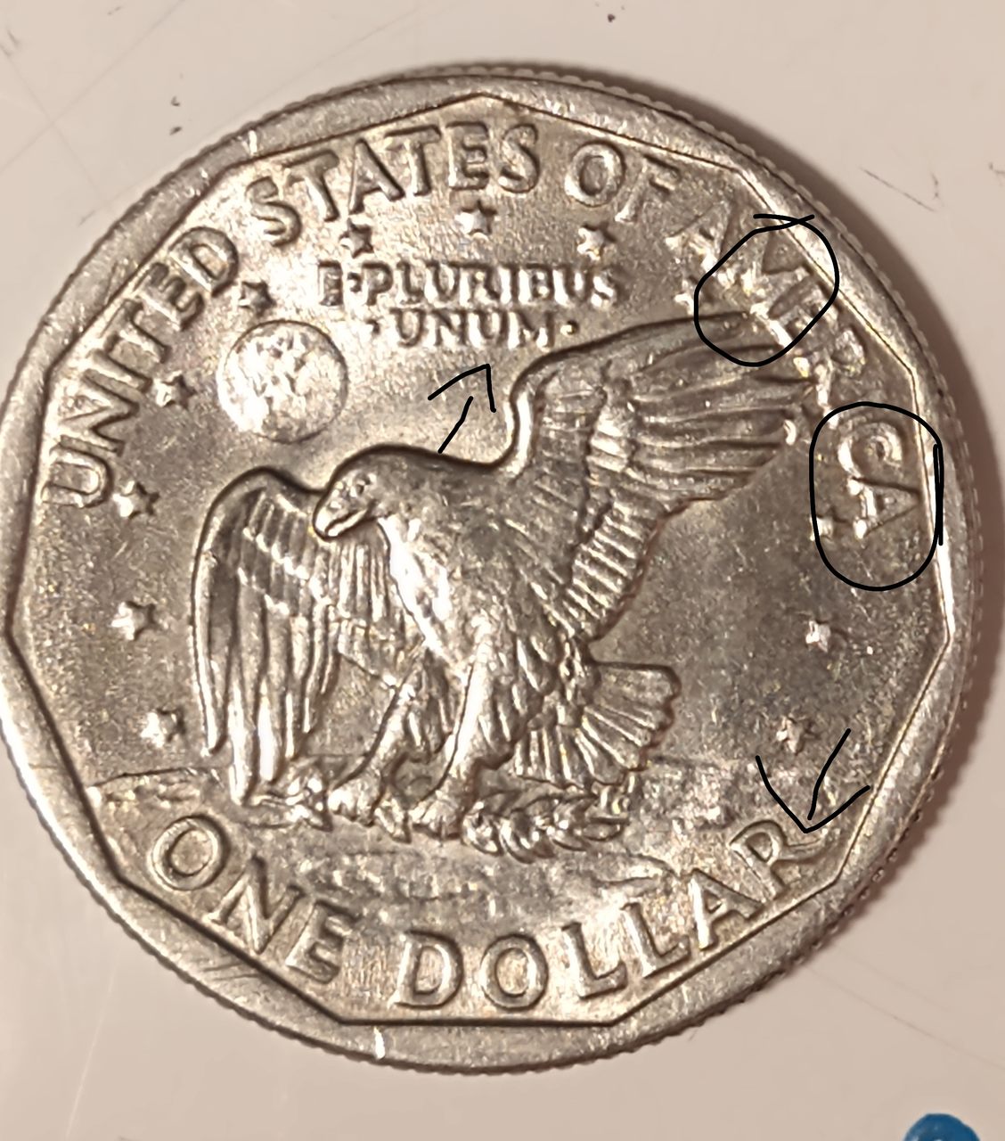 Susan-B-Anthony-Double-Die?