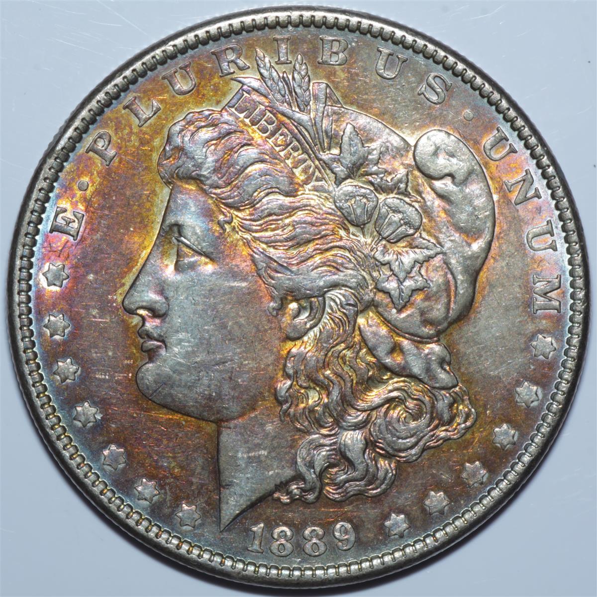 1889-Morgan-For-Grading