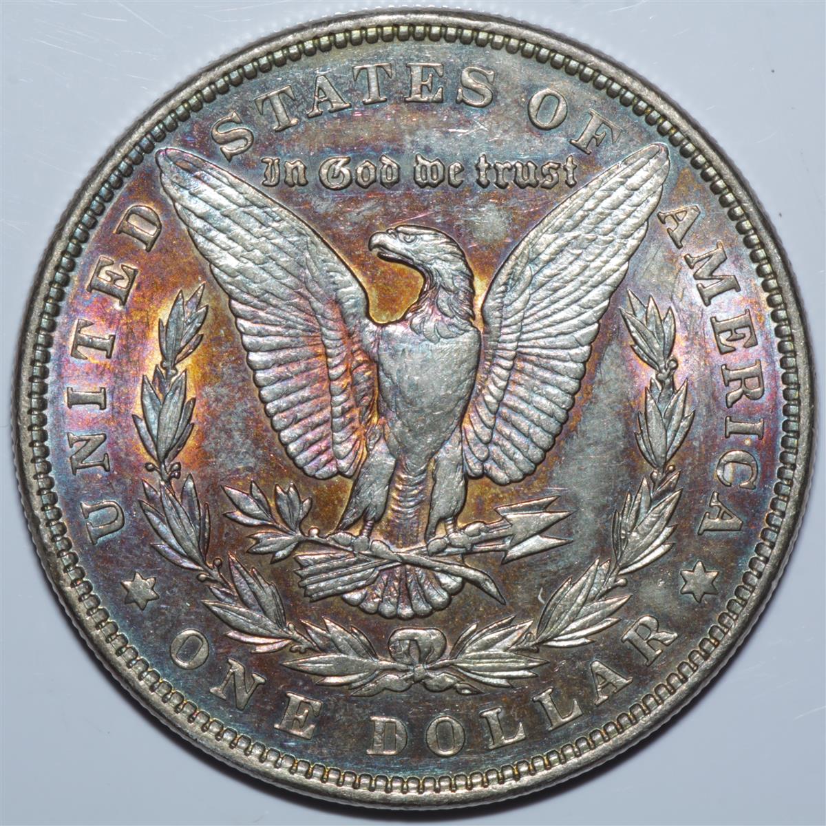 1889-Morgan-For-Grading