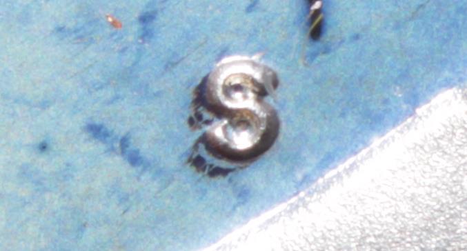 1981-Proof-Set---Type-2?-Pic-Heavy