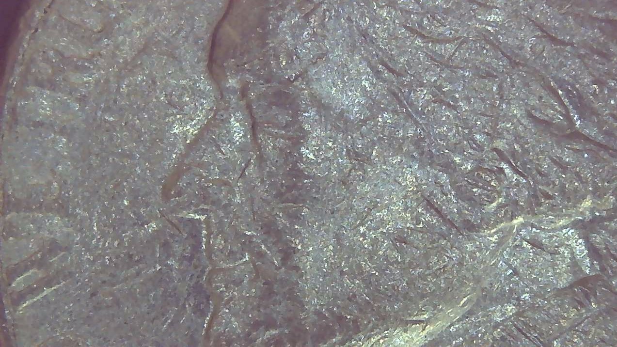 1979-D-Jefferson-Nickel-Missing-Eyes.