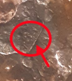 1983-D-Over-D-Possible-Double-DenominationalHeat-Damage-Outside-Of-Mint