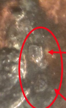 1983-D-Over-D-Possible-Double-DenominationalHeat-Damage-Outside-Of-Mint