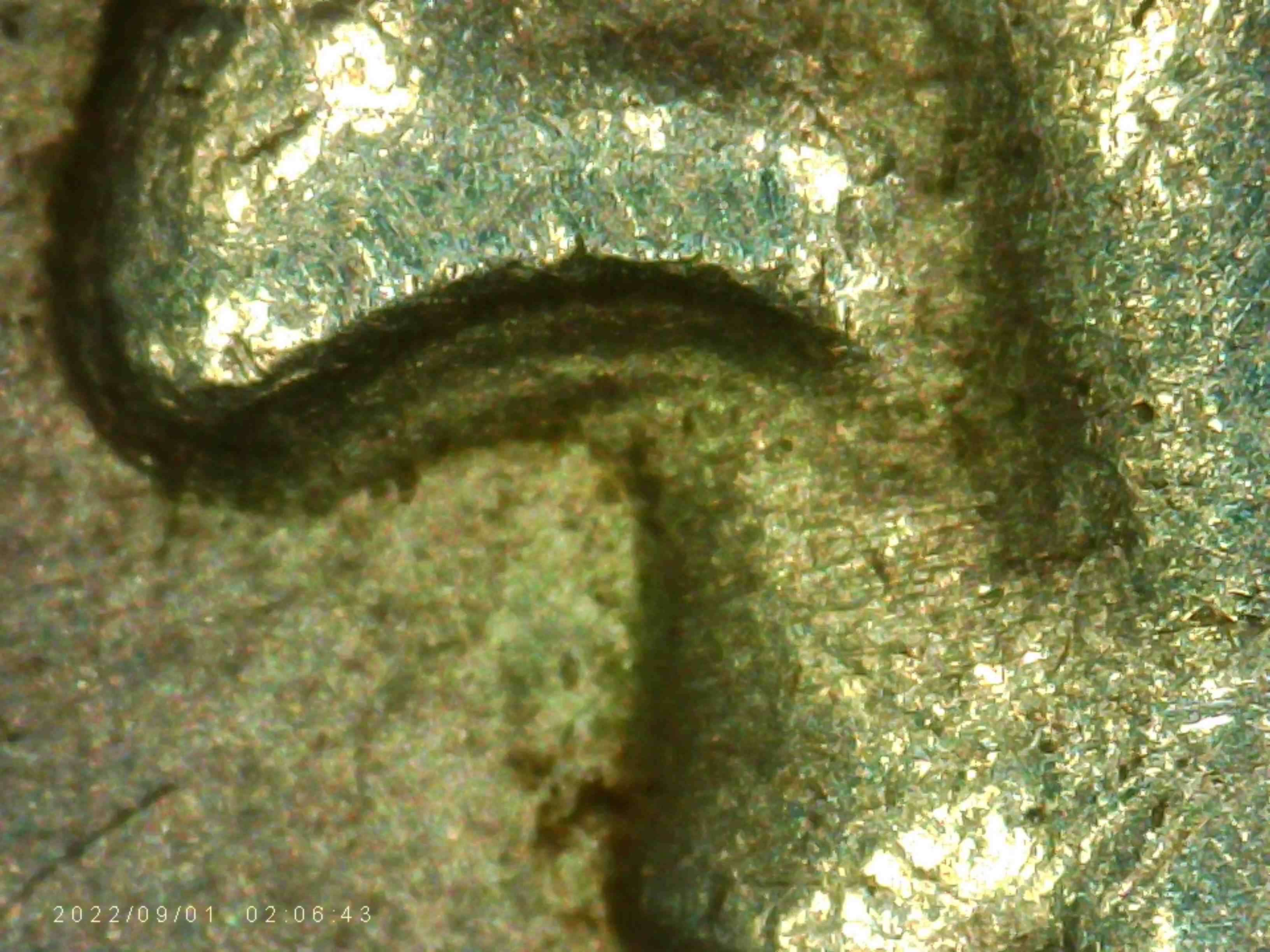 1944-S-Washington-Quarter-Do-You-See-Any-DDO.-Or-DDR-?-Thanks