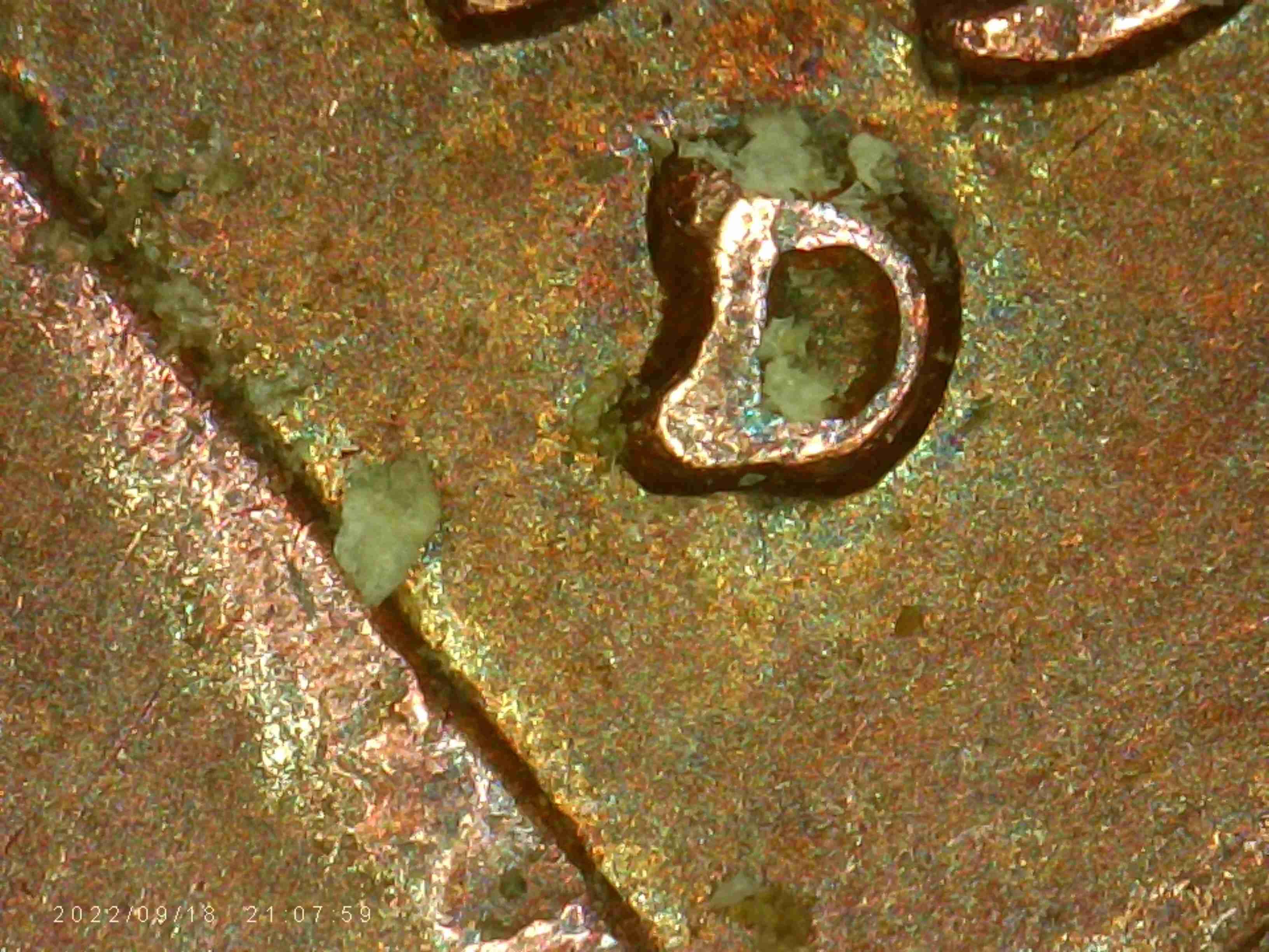 1957-D.-Is-This-RPM-And-OMM-It-Looks-Like-There-Is-S.-Under-The-D-Double-On-Ears?