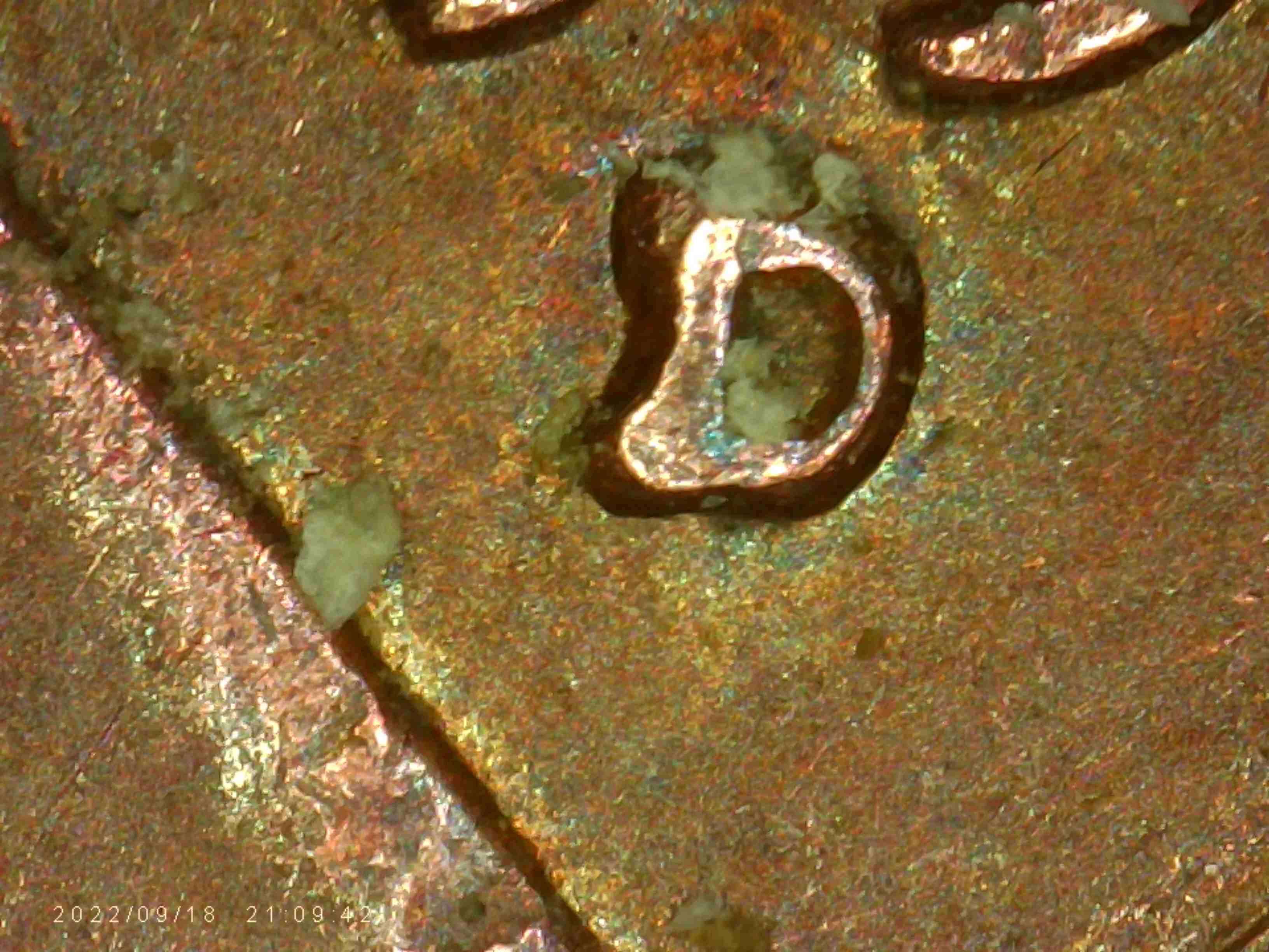 1957-D.-Is-This-RPM-And-OMM-It-Looks-Like-There-Is-S.-Under-The-D-Double-On-Ears?