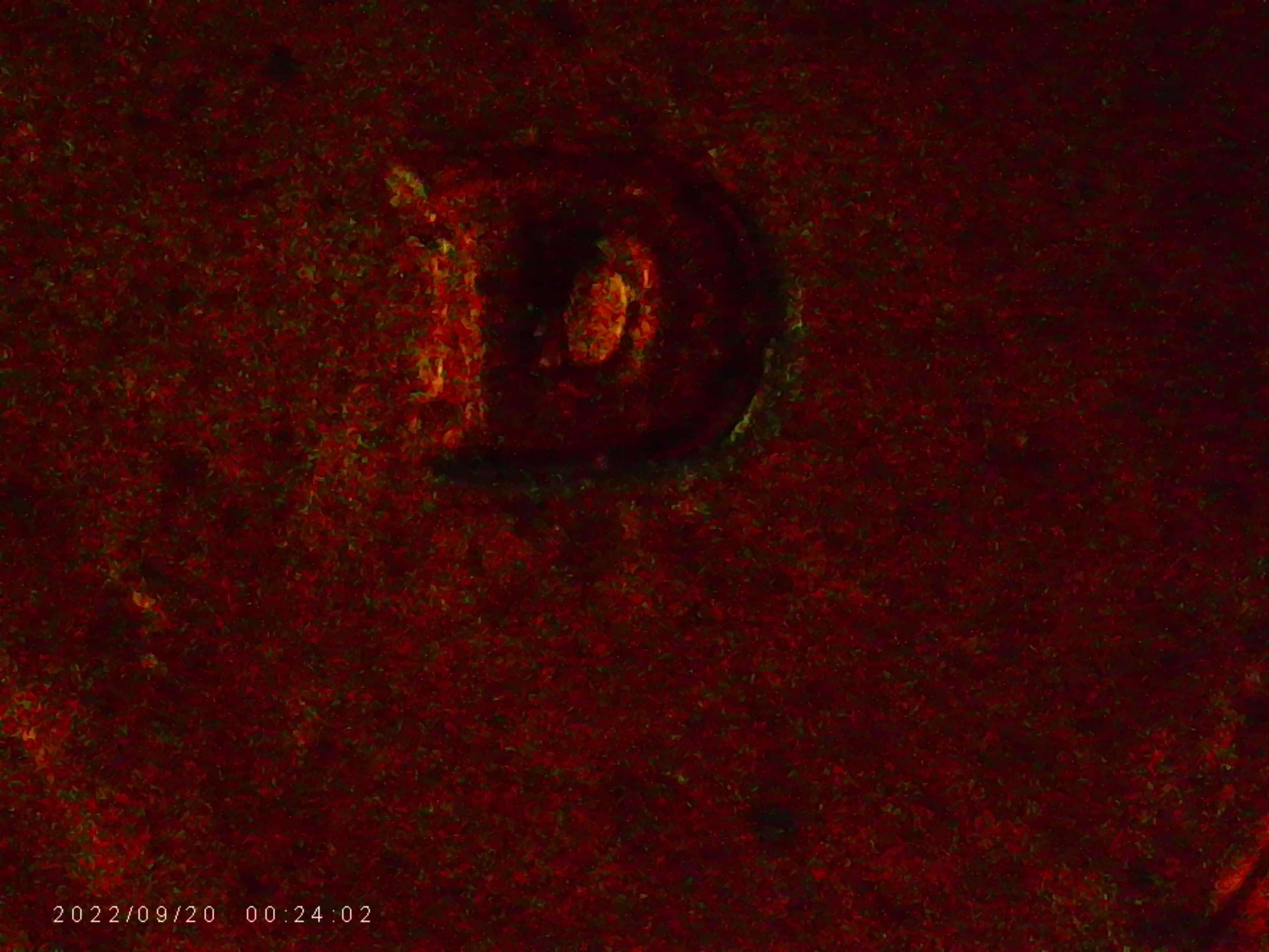 1983-LMC-R.p.m-I-Think-?-Got-In-Change-From-Store-Last-Night.