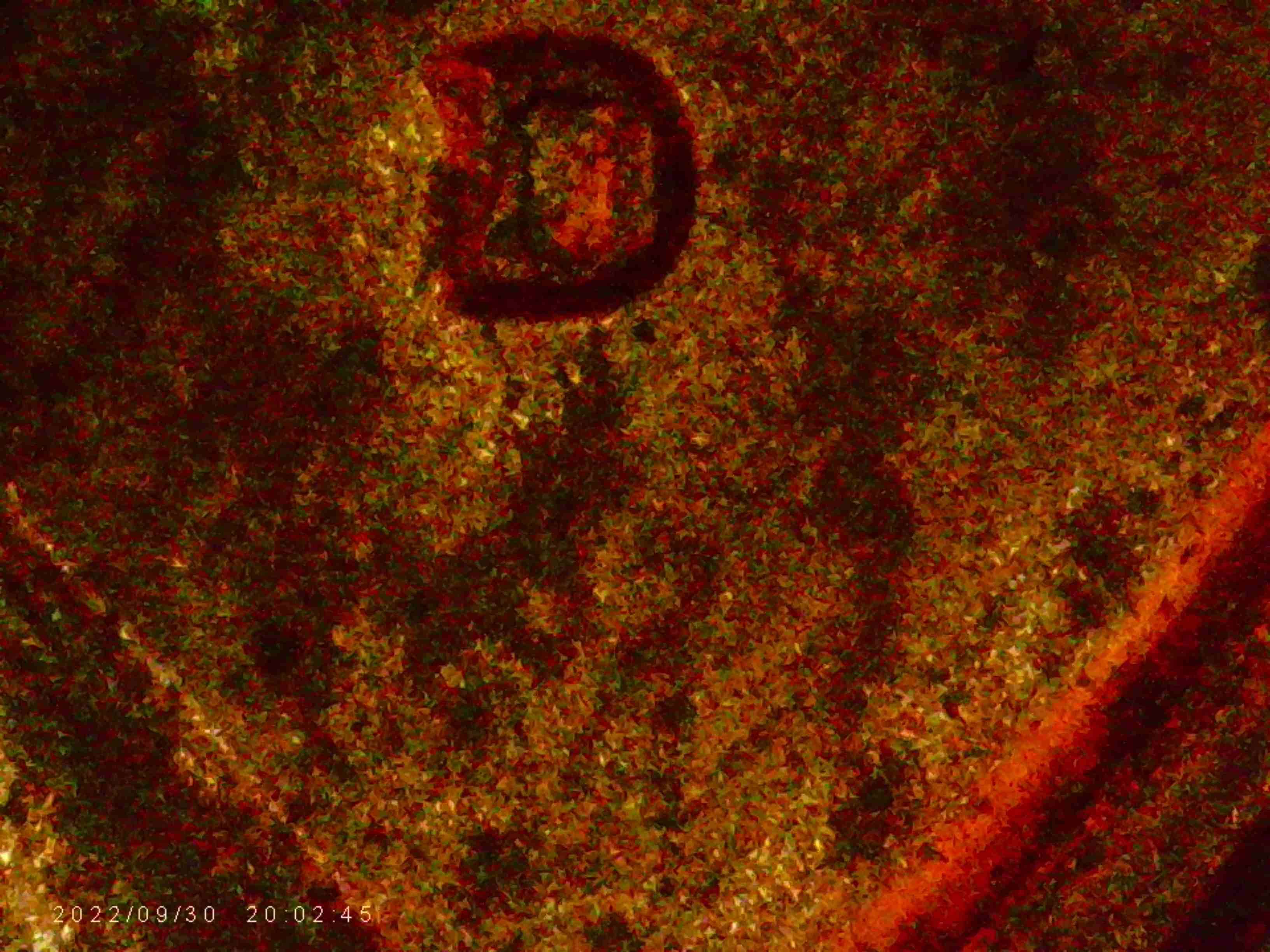 1973-D-LMC-Is-There-Another-D-South-Of-The-First-D-?-Thanks-Bentpenny.