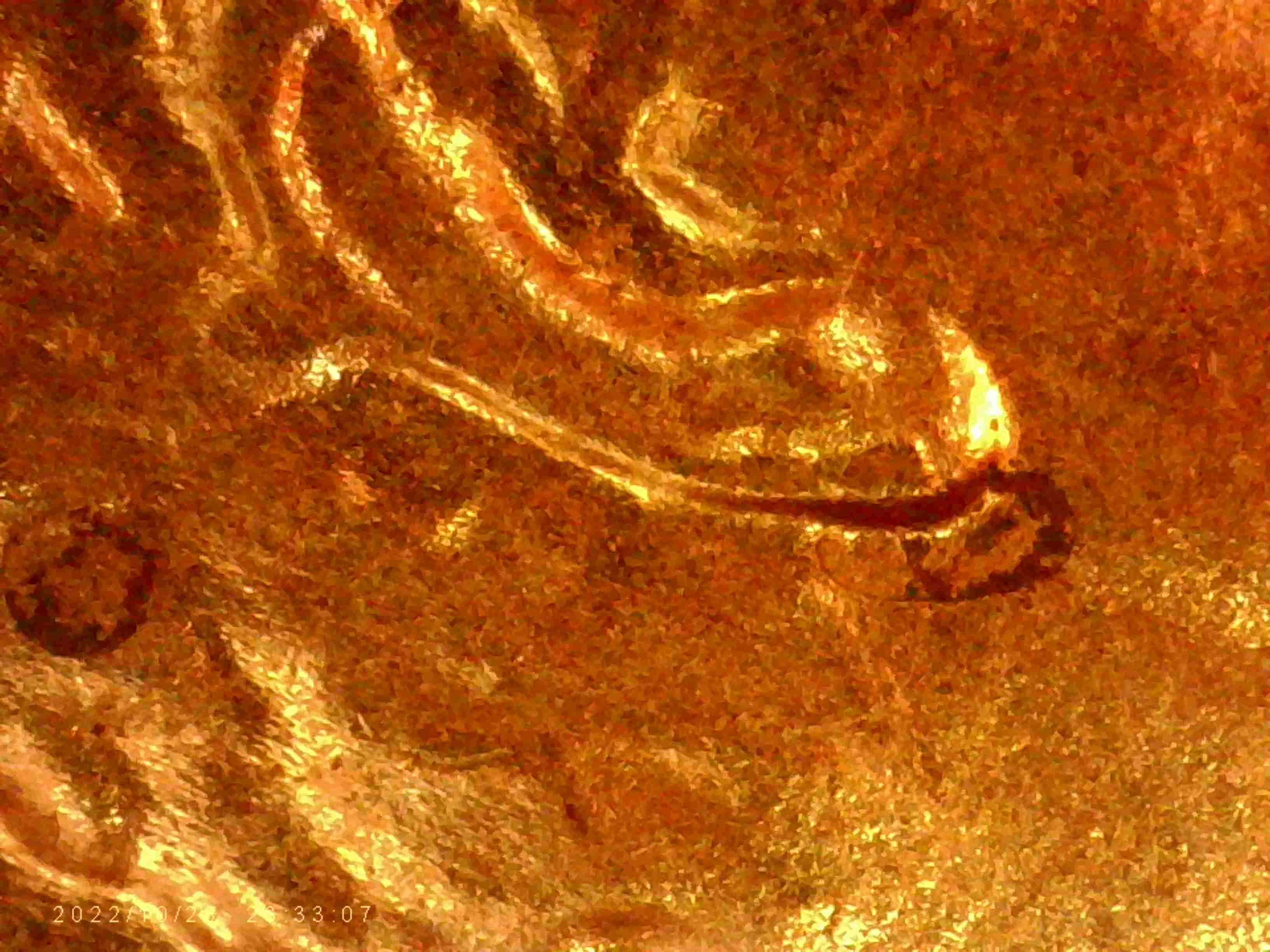 2020-LSC-Are-These--Considered--Double-Ear-Lobe?-Thanks-Bentpenny