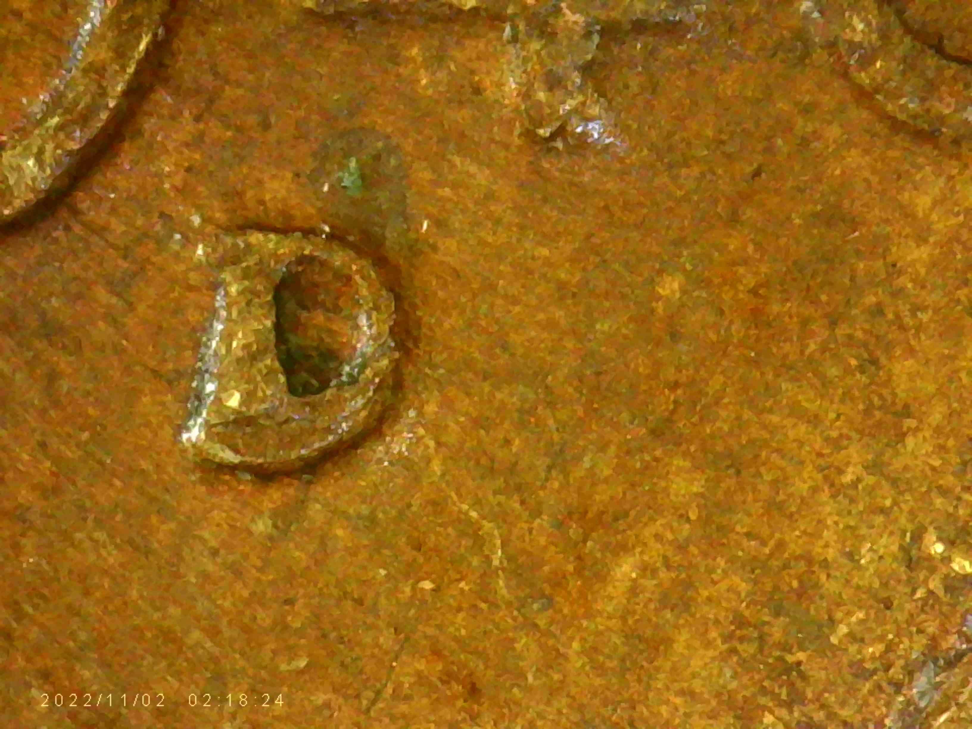 1946-D-Lincoln-Wheat-Cent-RPM.-WRPM001.-D/D--Southwest?-I-Think.