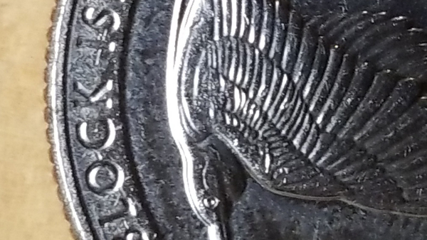 2018-D-Rhode-Island--State-Quarter
