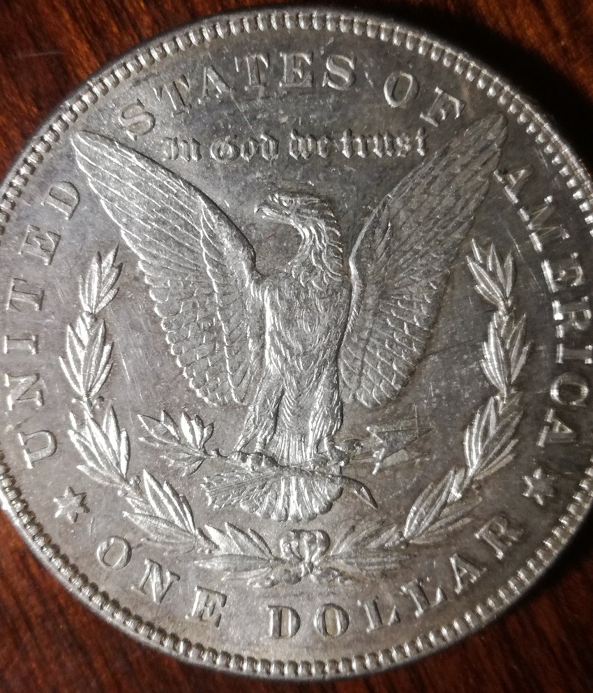 Need-Help-With-1878-Morgan-Dollar-And-1921-Peace-Dollar