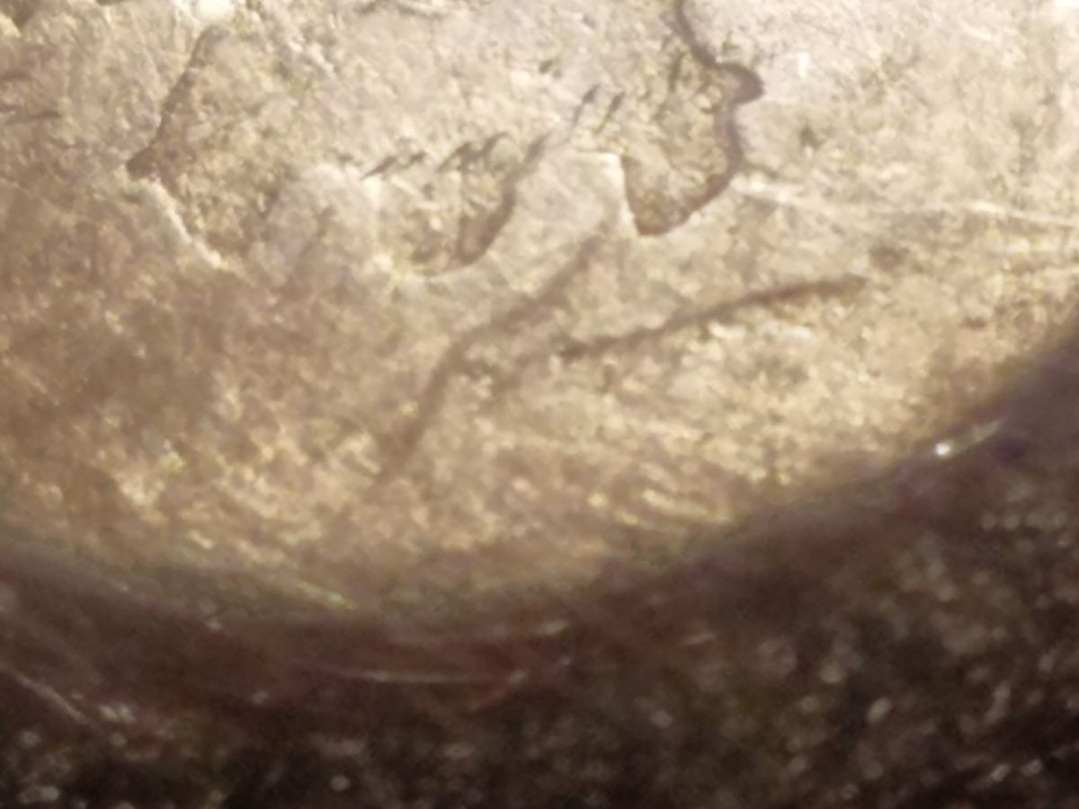 1894-S-Barber-Dime..-Ice-Cream-In-December!!-Are-There-Brighter-Days-Ahead?