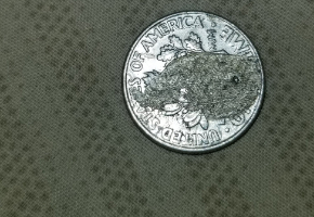 1998-F-Dime-Back-Error