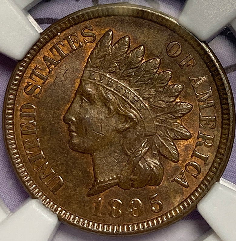 1895-IHC---You-Vs-NGC---Your-Grade?