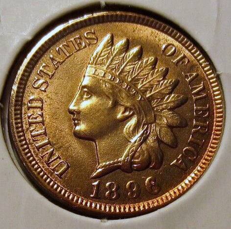 1894-Indian-Cent-For-Eval---Sellers-Pics