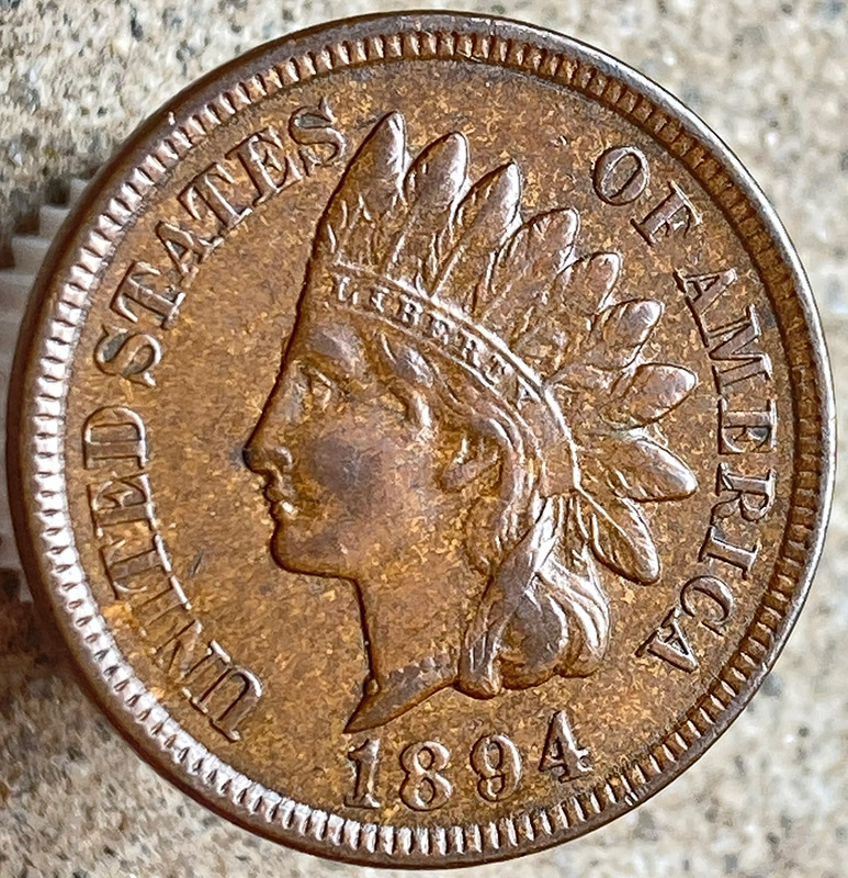 1894-Indian-Cent---Looks-Like-I-Bought-A-Pig-In-A-Poke