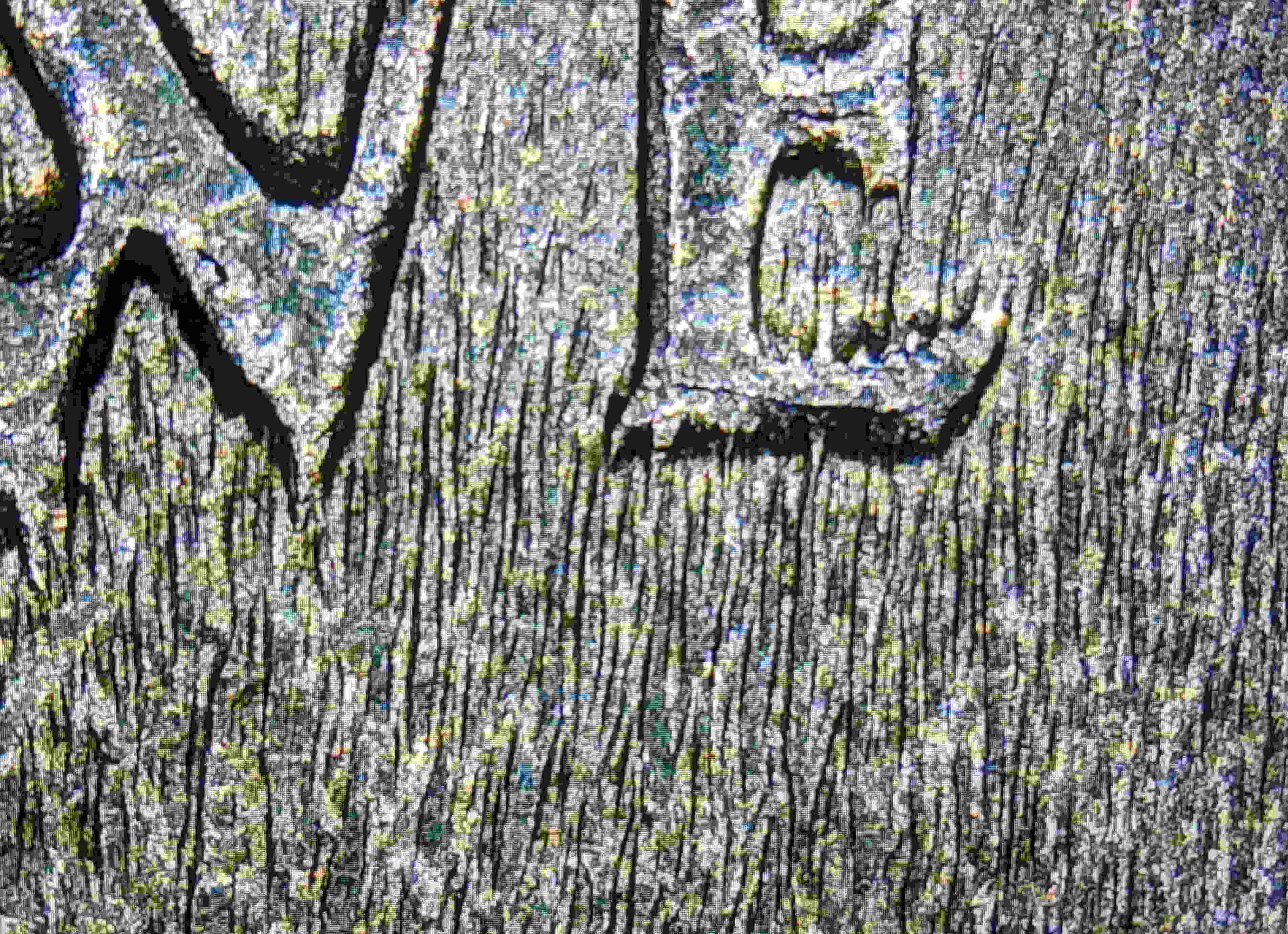 1972-D-Jefferson-Nickels---Weird-Starburst-Like-Marks