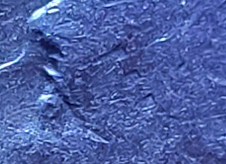 1966-Dime-Need-Help-To-See-If-This-Worth-While