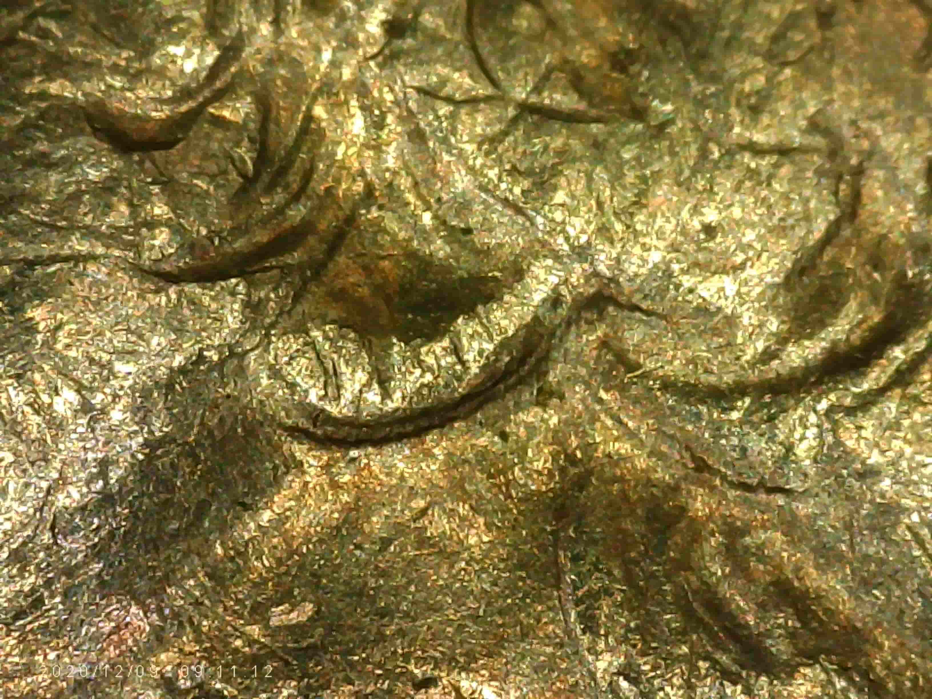 1994-D-Quarter_confirming-MD-On-Obverse/Reverse